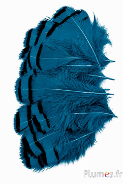 Patrijs - 3-7 cm - olie